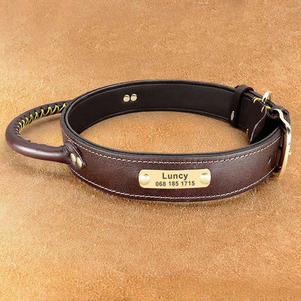 Custom Engraved Premium Leather Dog Collar with Control Handle for Medium to Large Breeds