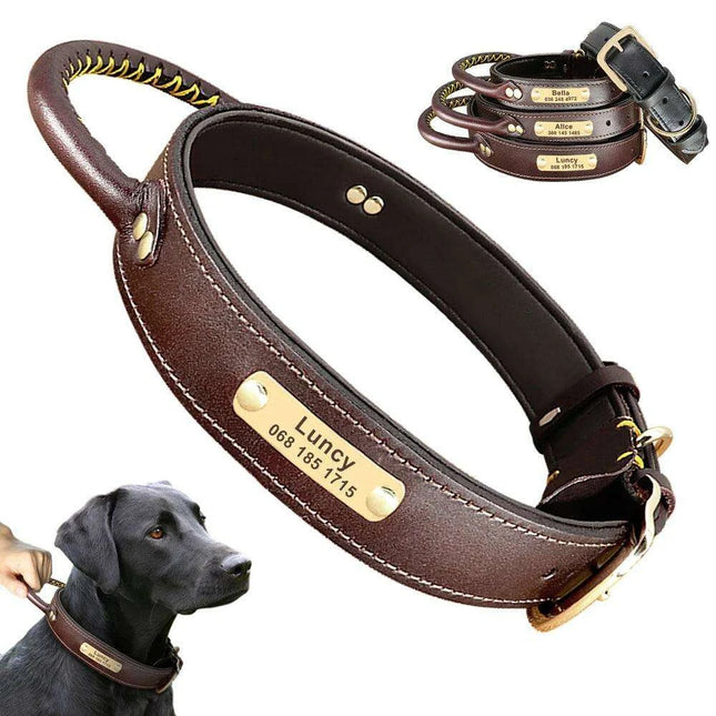 Custom Engraved Premium Leather Dog Collar with Control Handle for Medium to Large Breeds