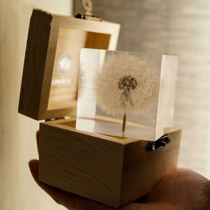 Dandelion Resin Cube with Wooden Base & USB Charger..