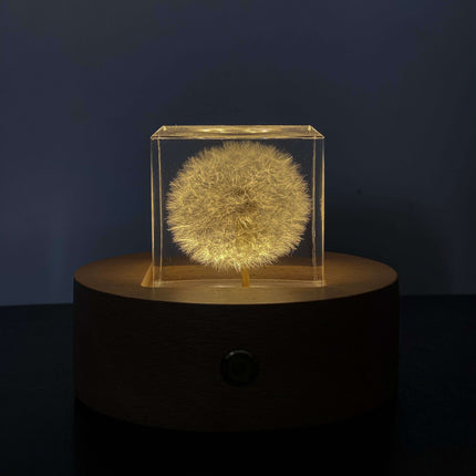 Dandelion Resin Cube with Wooden Base & USB Charger..