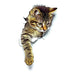 Luxurious 3D Cat Decals for Elegant Home Decor