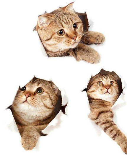 Exquisite 3D Cat Wall Decor Stickers: Elevate Your Home Aesthetics