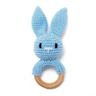 Blue Bunny