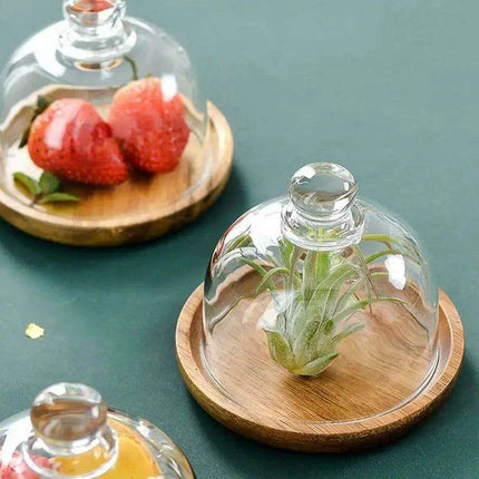 Elegant Acacia Wood Cake Stand with Glass Dome – Perfect for Showcasing Desserts at Home and Events - Très Elite