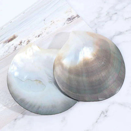 Elegant Black Butterfly Seashell - Stunning Coastal Decor Accent - Très Elite