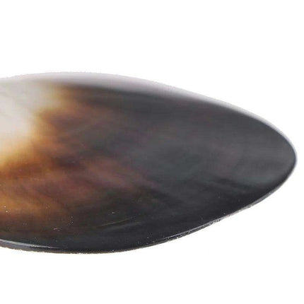 Elegant Black Butterfly Seashell - Stunning Coastal Decor Accent - Très Elite