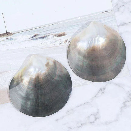 Elegant Black Butterfly Seashell - Stunning Coastal Decor Accent - Très Elite