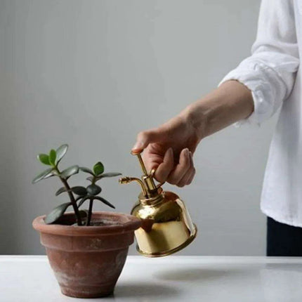 Elegant Brass Succulent Mister Set - Sleek Mini Watering Can with Polished Finish - Très Elite