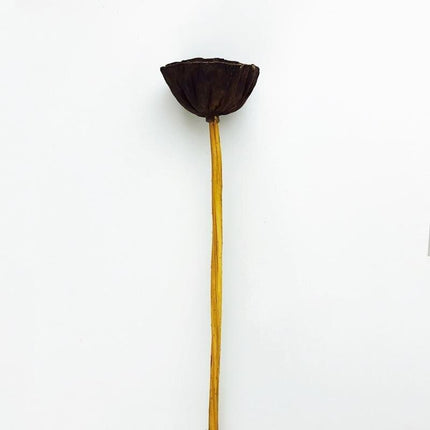 Elegant Dried Lotus Pod Set - 5 Unique Floral Ornaments - Très Elite