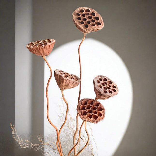 Elegant Dried Lotus Pod Set - 5 Unique Floral Ornaments