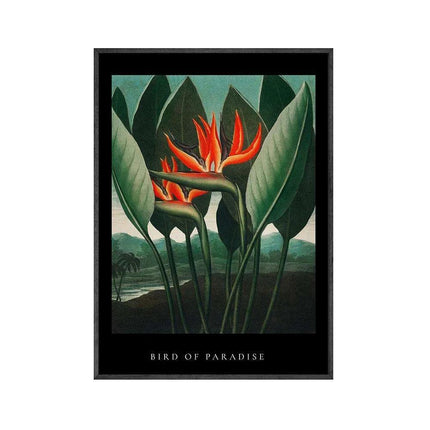 Elegant Japanese Flying Cranes Art Canvas - Serene Pink Sky Decor Poster | Très Elite Home Accent..