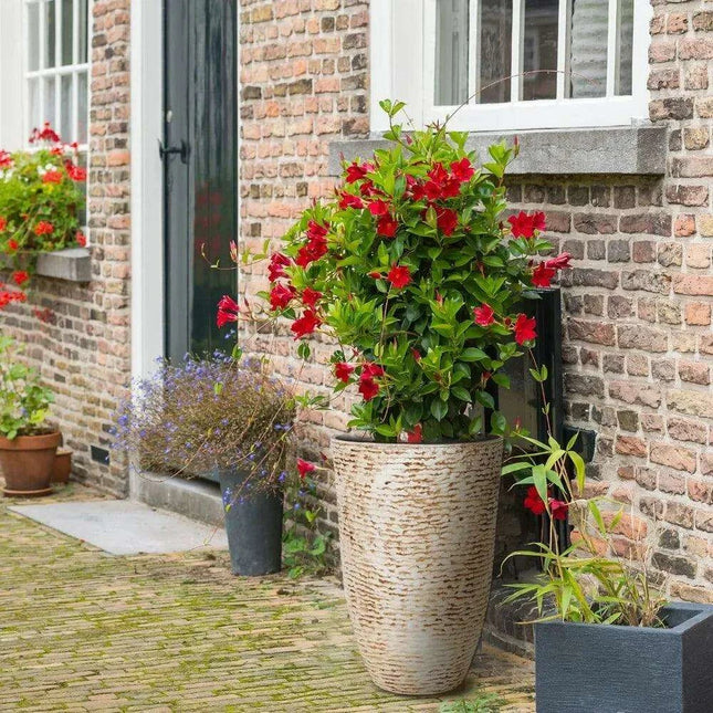 Elegant Large Stone Finish Outdoor Planters for Landscaping Excellence