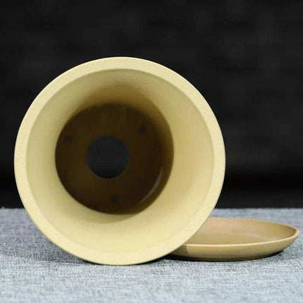 Elegant Lavender Sand Orchid Planter Set: Chic Botanical Accent- Très Elite- Très Elite