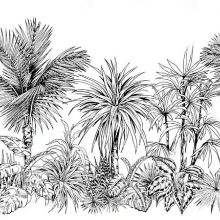 Elegant Monochrome 3D Banana Leaf Wallpaper for Stunning Home Interiors. elegant-monochrome-3d-banana-leaf-wallpaper-for-stunning-home-interiors Tools & Home Improvement›Painting Supplies, Tools & Wall Treatments›Wall Stickers & Murals›Murals