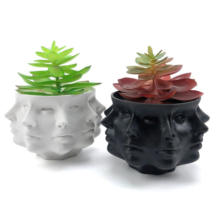 Elegant Multi-Faced Succulent Planter: Elevate Your Living Space- Très Elite- Très Elite