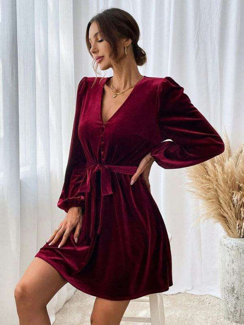 Elegant Velvet V-neck A-line Dress with Long Sleeves and Waist Detail