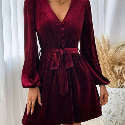 Elegant Velvet V-neck A-line Dress with Long Sleeves and Waist Detail