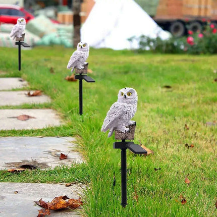 Enchanting Solar-Powered Owl and Parrot Garden Lights for Magical Outdoor Ambiance