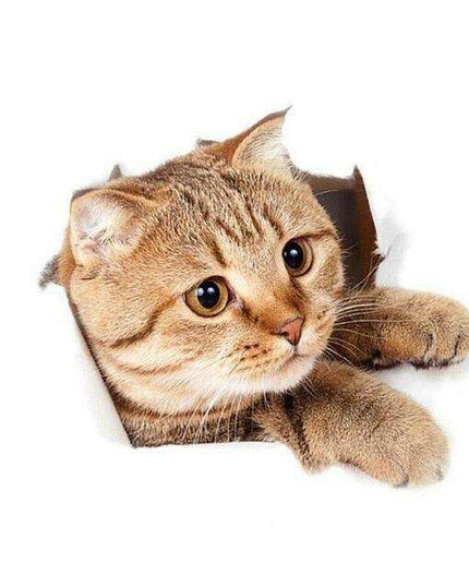 Exquisite 3D Cat Wall Decor Stickers: Elevate Your Home Aesthetics