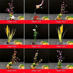 C-9pcs Set