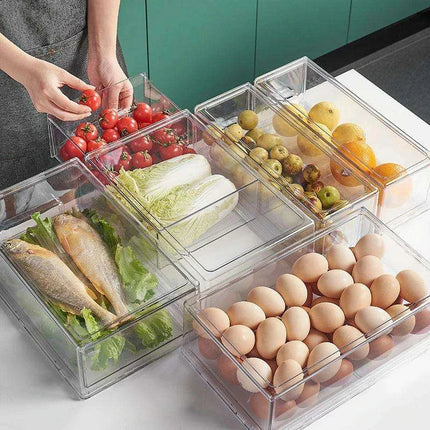 Fridge Organization Freshness Container - Ultimate Storage Solution for Neat Refrigeration..