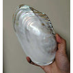 20-22CM
