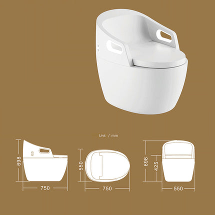 Fully Automatic Smart Toilet | Sterilization & Automatic Flush