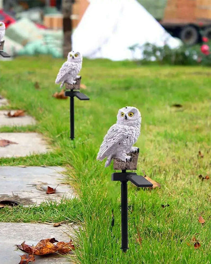 Enchanting Solar-Powered Owl and Parrot Garden Lights for Magical Outdoor Ambiance