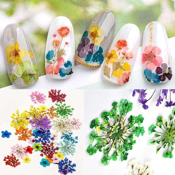 Nature's Elegance Nail Art Set with Real Dried Flowers and 3D Rhinestones