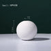 Elegant Ceramic Vase Collection: Elevate Your Space with Timeless Style