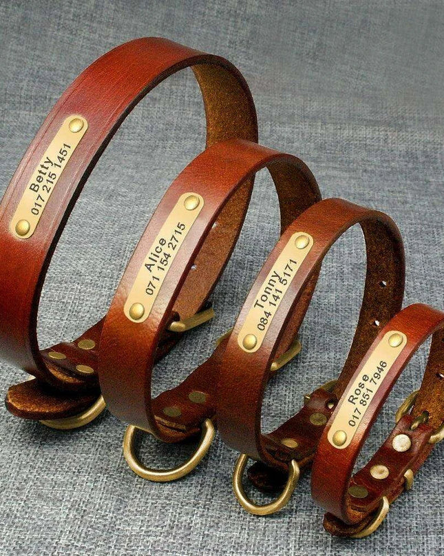 Custom Engraved Leather Dog Collar for Small to Medium Breeds - Personalized with Name and Contact Information