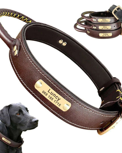 Custom Engraved Premium Leather Dog Collar with Control Handle for Medium to Large Breeds