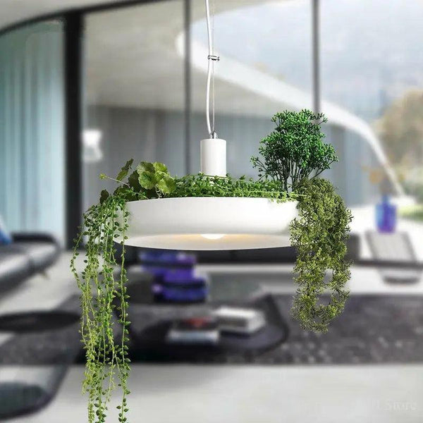 Hanging Planters