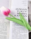 rose white / 10 pcs
