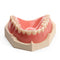 Natural-Look Cosmetic Denture Set Snap-On Veneers resin-denture-aesthetic-set-with-mirrored-storage-case-copy Health & Household > Oral Care > Denture Care > Dentures