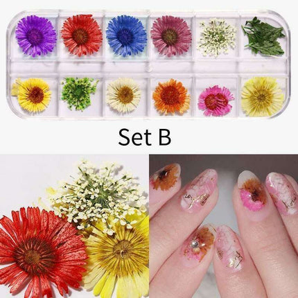 Botanical Beauty Nail Art Set with Dried Floral Accents and Sparkling Rhinestones