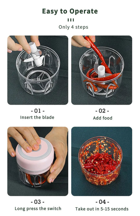 Compact Electric Garlic and Food Chopper with 100/250ml Capacity