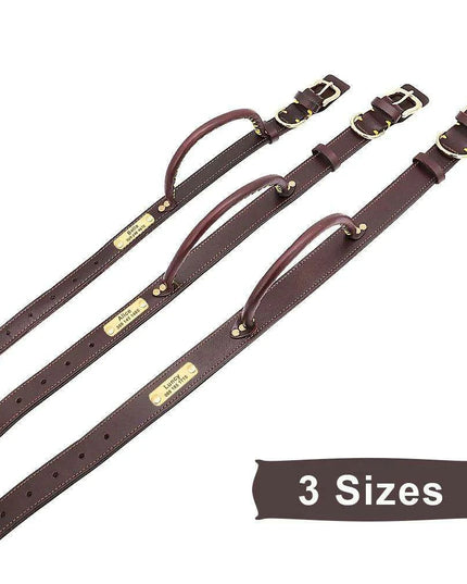 Custom Engraved Premium Leather Dog Collar with Control Handle for Medium to Large Breeds