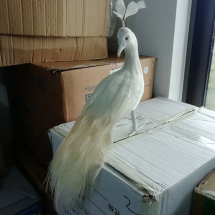 White Peacock Model — Foam & Feather — 45cm