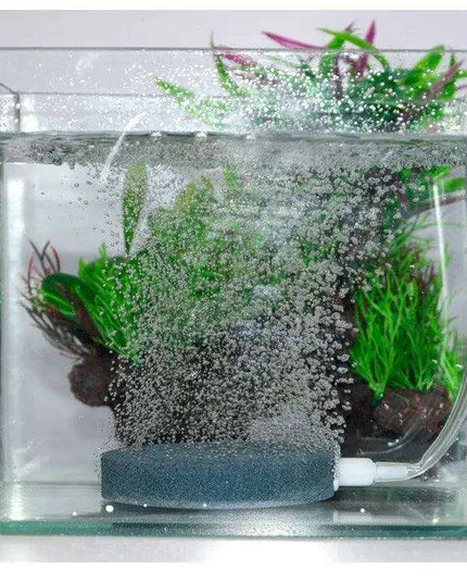 Aquarium Air Pump Oxygen Diffuser Disk - Bubble Stone for Fish Tank & Pond (4/6/8cm)