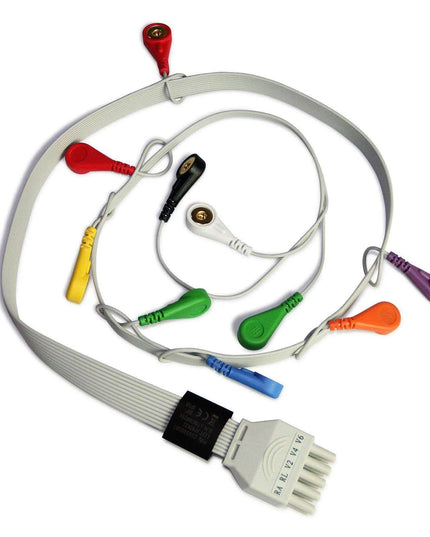 Portable 12-Channel ECG Holter Monitor with LCD for 24-Hour Cardiac Evaluation