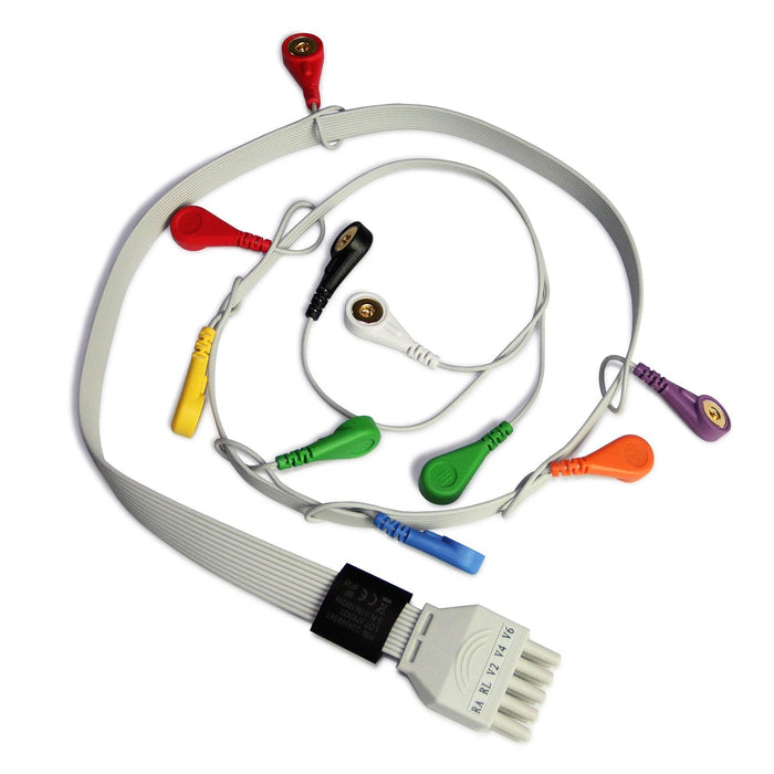Portable 12-Channel ECG Holter Monitor with LCD for 24-Hour Cardiac Evaluation