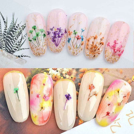 Botanical Beauty Nail Art Set with Dried Floral Accents and Sparkling Rhinestones