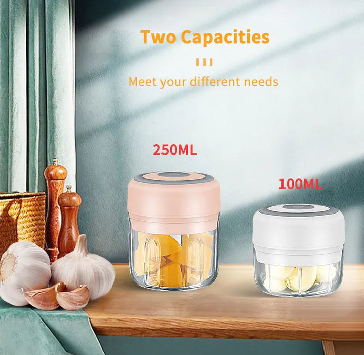 Compact Electric Garlic and Food Chopper with 100/250ml Capacity