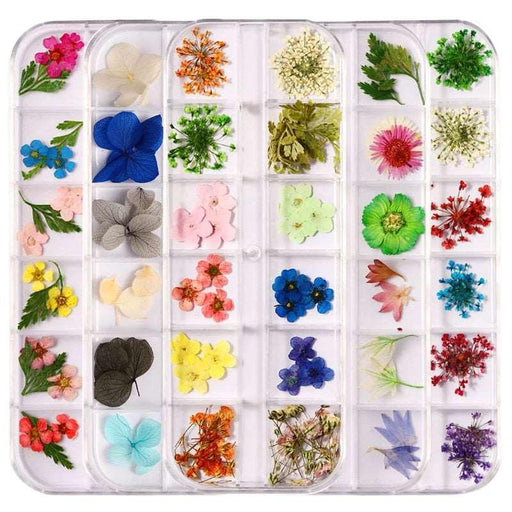 1 Box of Real Dried Flowers Nail Art Decorations - Très Elite