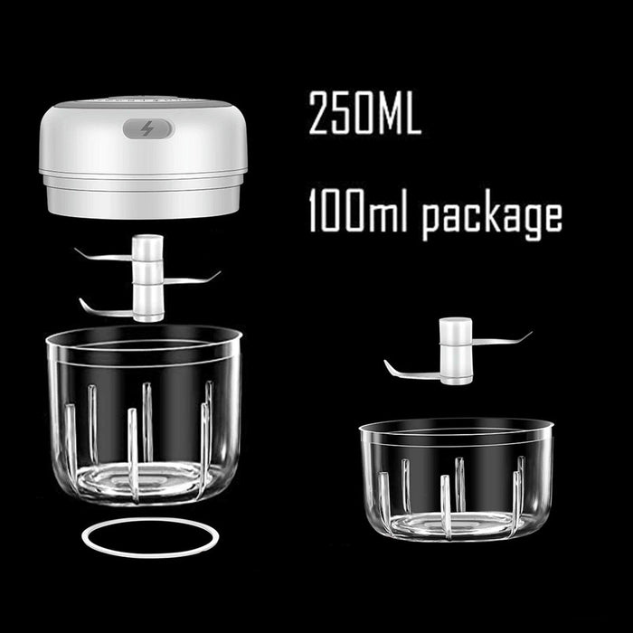 Electric Mini Food Chopper with Dual Capacity and Quick Chop Technology