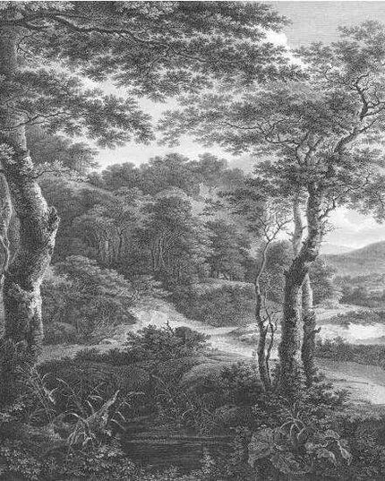 Tranquil Tropical Oasis 3D Wall Mural - Custom Sizes Available