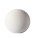 Elegant Ceramic Vase Collection: Elevate Your Space with Timeless Style
