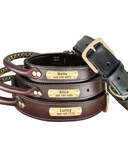 Custom Engraved Premium Leather Dog Collar with Control Handle for Medium to Large Breeds