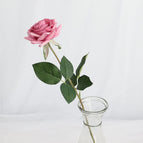 Deep pink rose